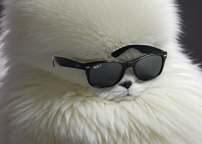 sunglasses product photography